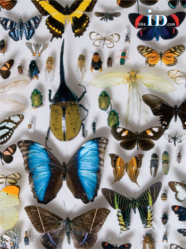 Nike ID campaign — bugs